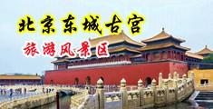 操屄13P中国北京-东城古宫旅游风景区